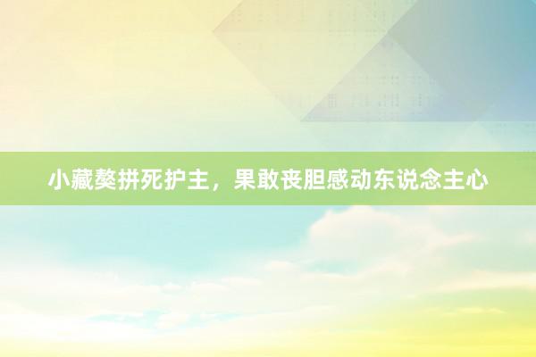 小藏獒拼死护主，果敢丧胆感动东说念主心