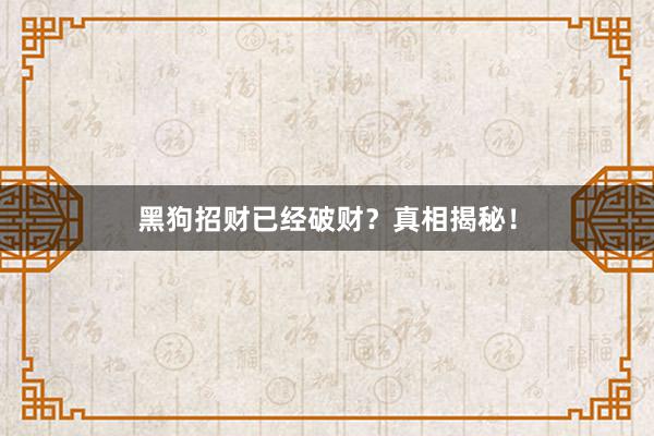 黑狗招财已经破财？真相揭秘！