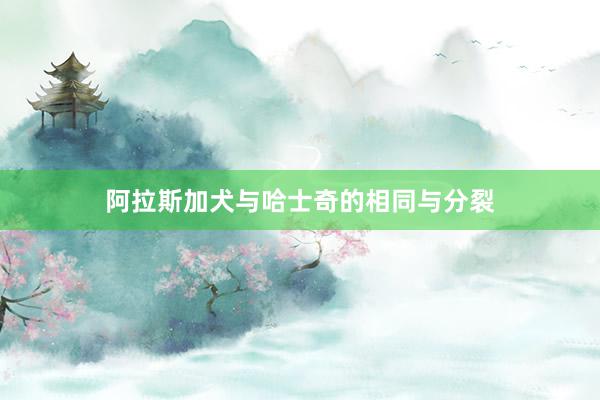 阿拉斯加犬与哈士奇的相同与分裂