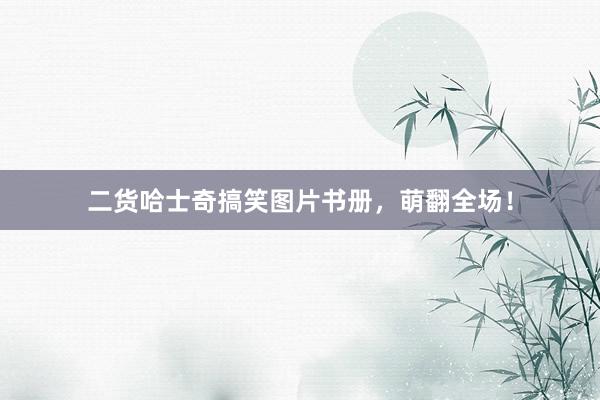 二货哈士奇搞笑图片书册，萌翻全场！